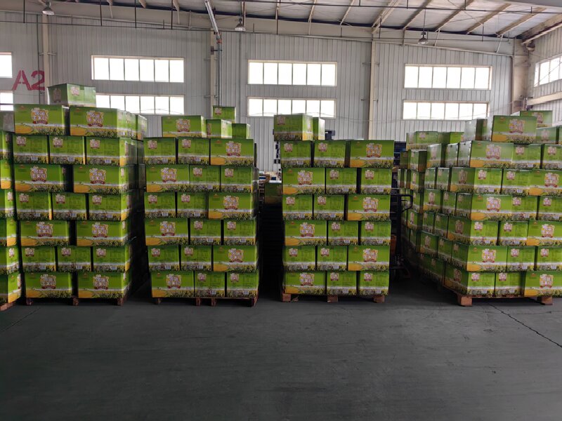 蘇州到朝陽(yáng)物流公司