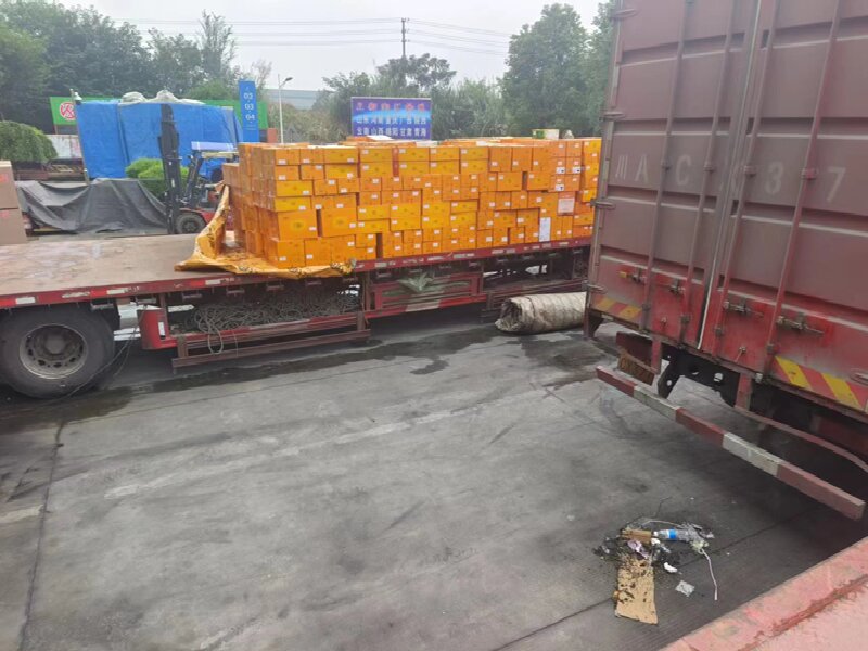 蘇州至通化物流公司